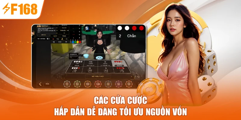 Các cửa cược hấp dẫn dễ dàng tối ưu nguồn vốn