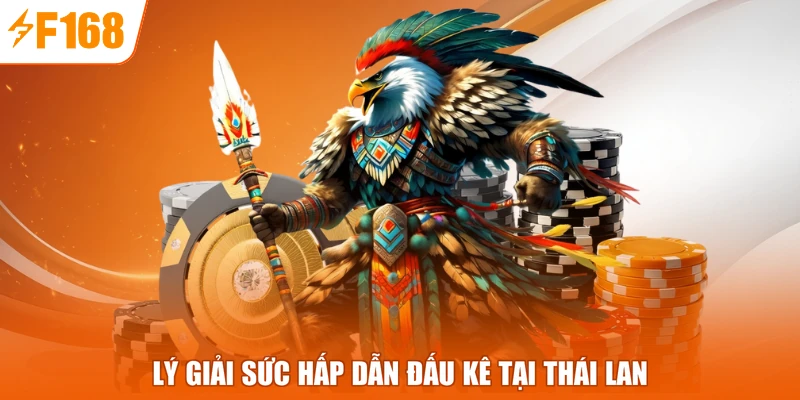 Lý giải sức hấp dẫn đấu kê tại Thái Lan