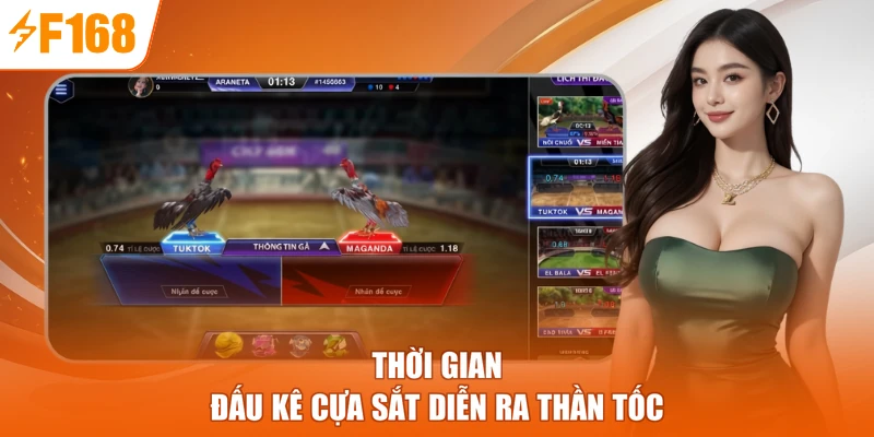 Thời gian đấu kê cựa sắt diễn ra thần tốc